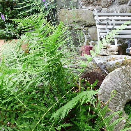 Dolifor Apartment Llanwrthwl Bagian luar foto