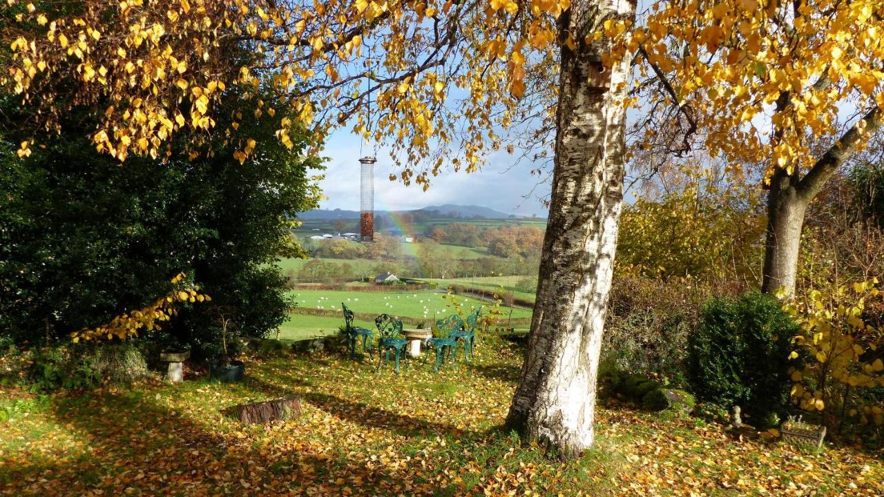 Dolifor Apartment Llanwrthwl Bagian luar foto