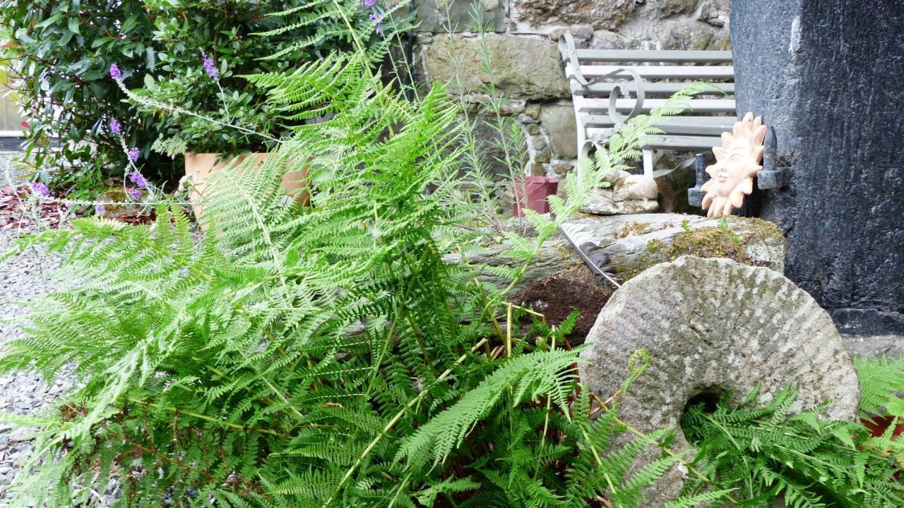 Dolifor Apartment Llanwrthwl Bagian luar foto